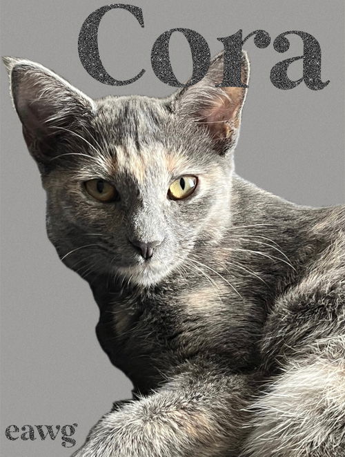 Cora