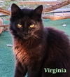Virginia