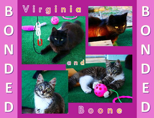 Virginia