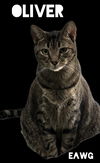 Oliver