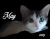 May