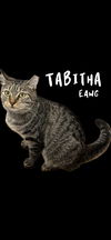 Tabitha