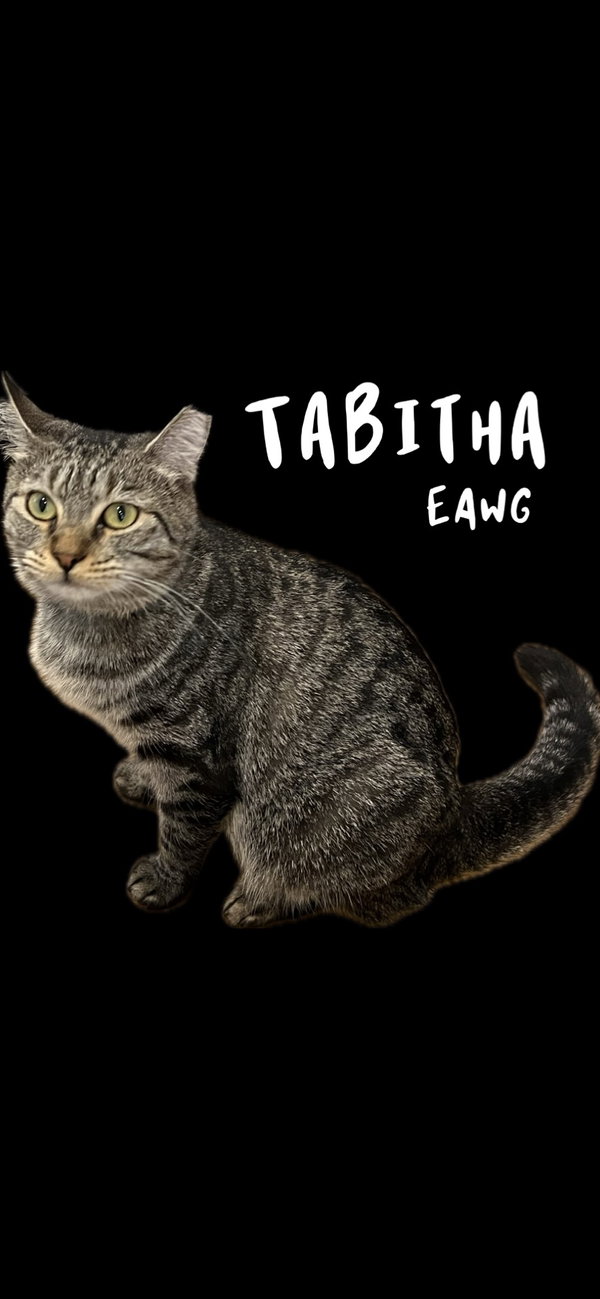 Tabitha