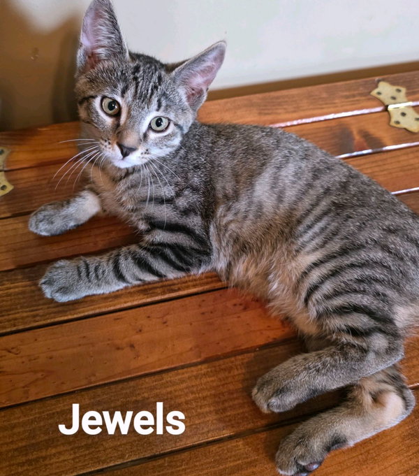 Jewels