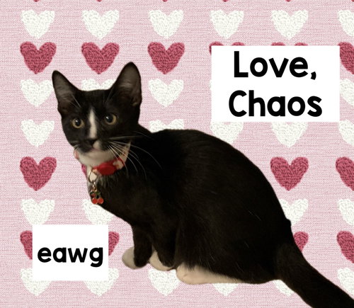 CHAOS