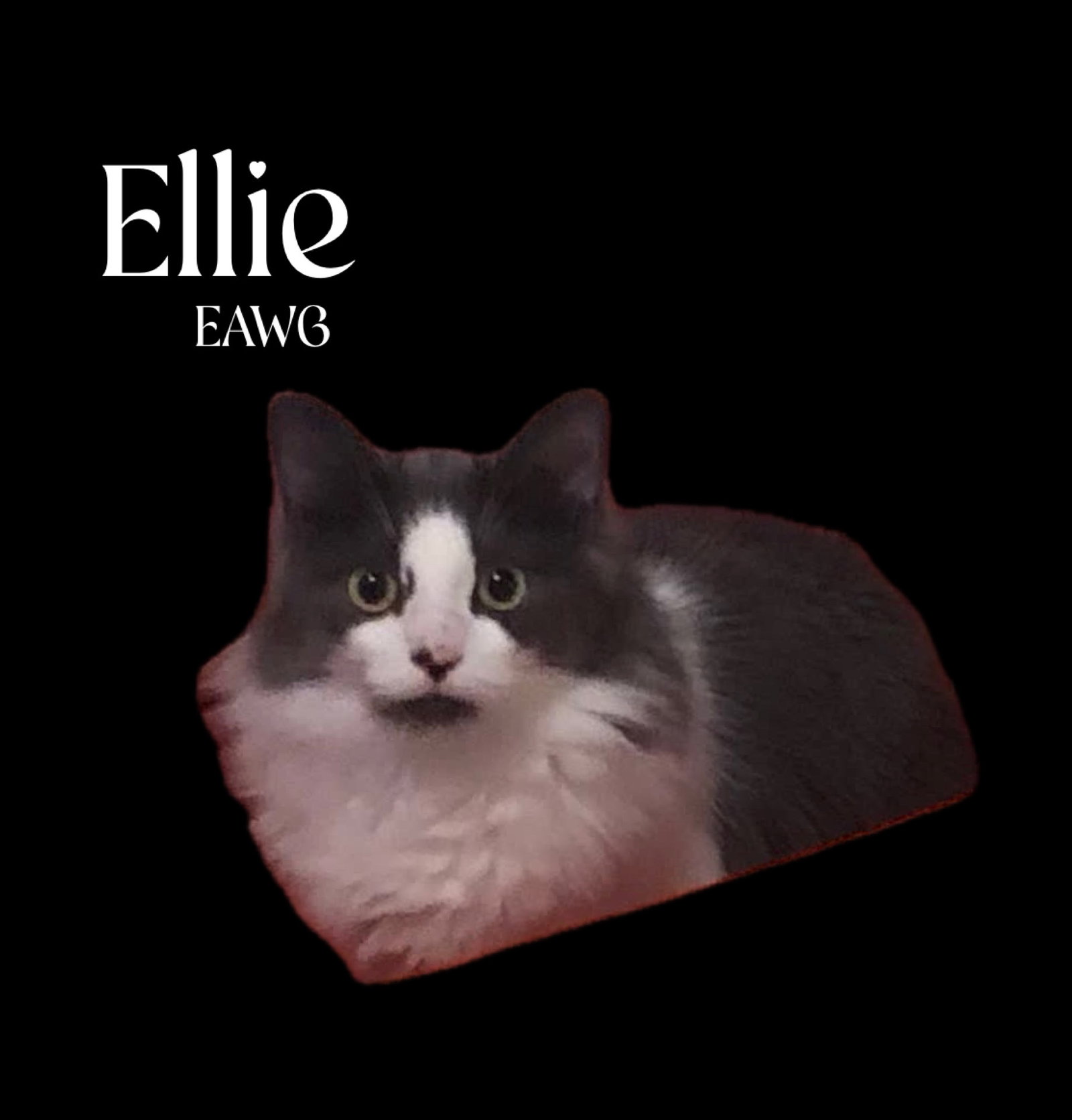 Ellie Image