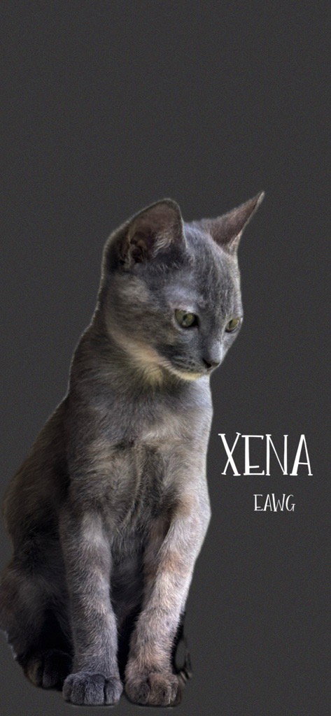 Xena Image
