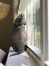 Xena - Photo 3