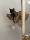 Xena - Photo 7