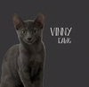 Vinnie - Photo 3