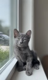 Vinnie - Photo 5