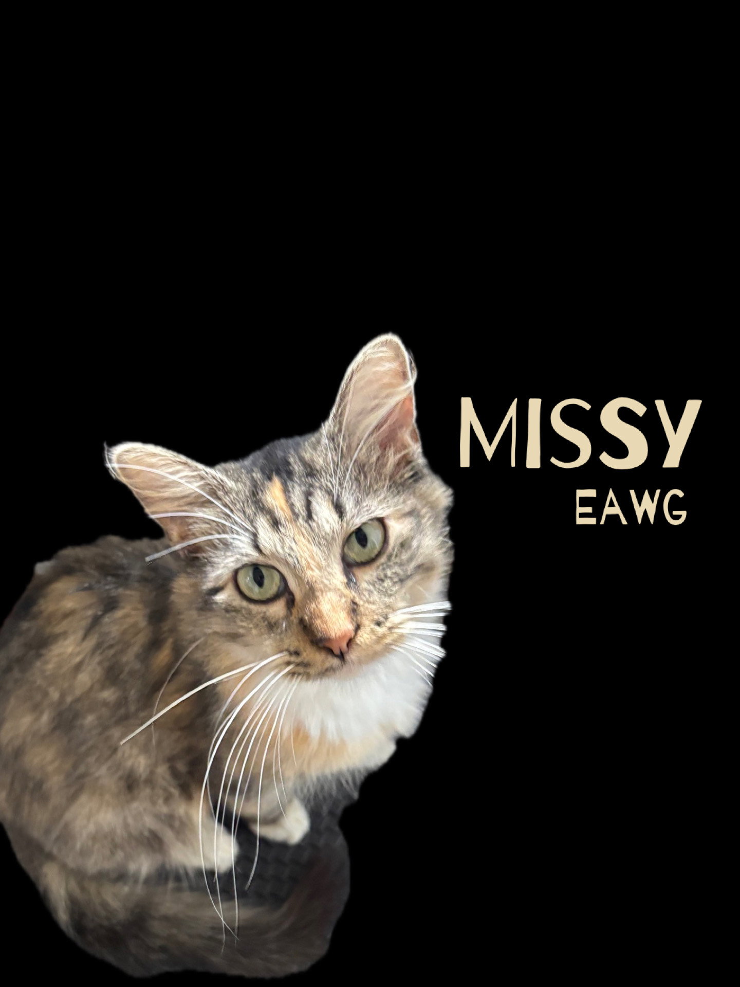 Missy Image