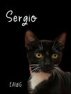 Sergio - Photo 2