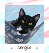 Sergio - Photo 1