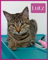 Lutz - Photo 1