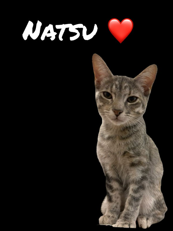 Natsu