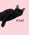 Kelly - Photo 5