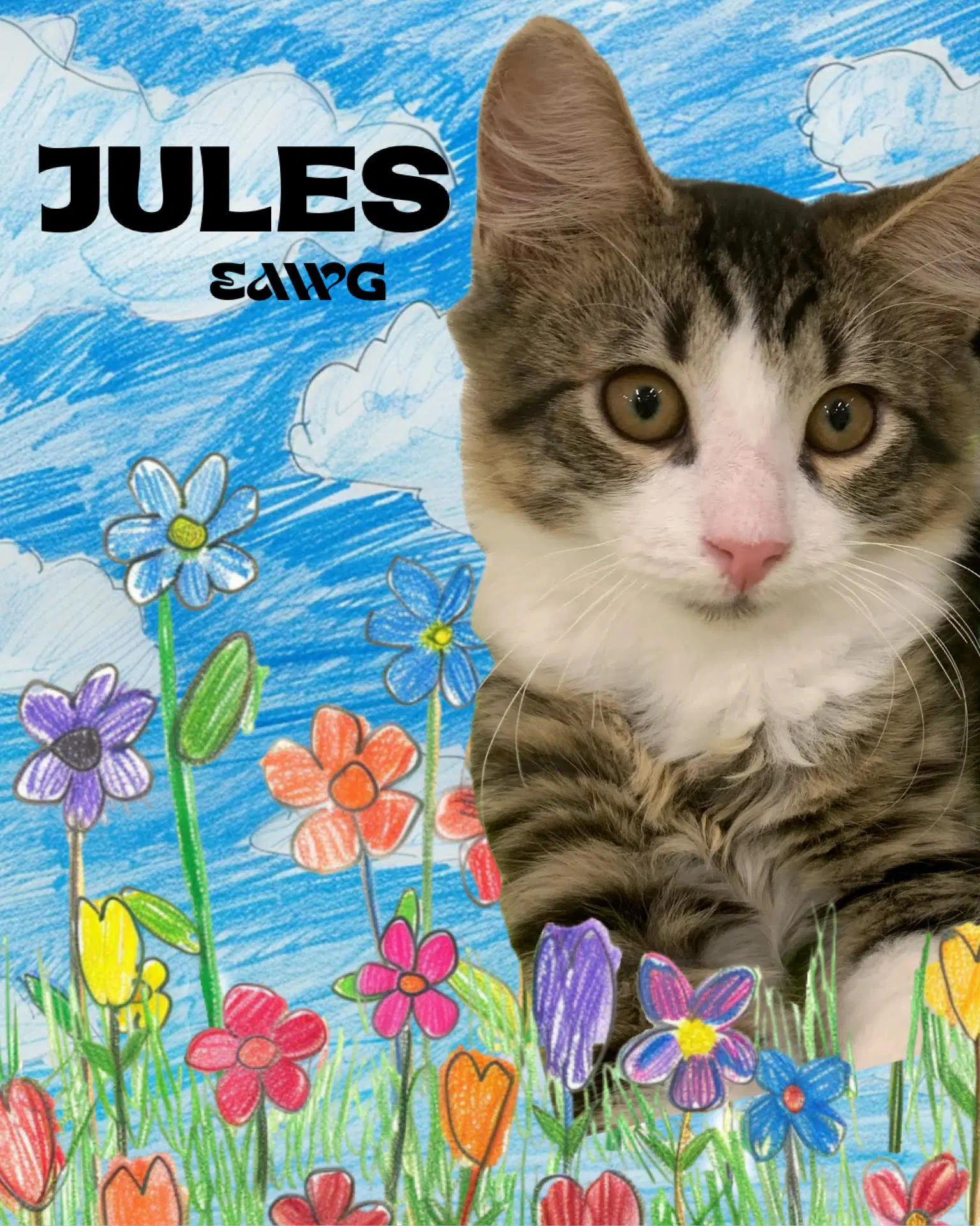 Jules - Domestic Medium Hair