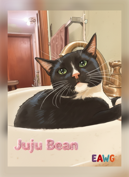 Photo 4 of JuJu Bean
