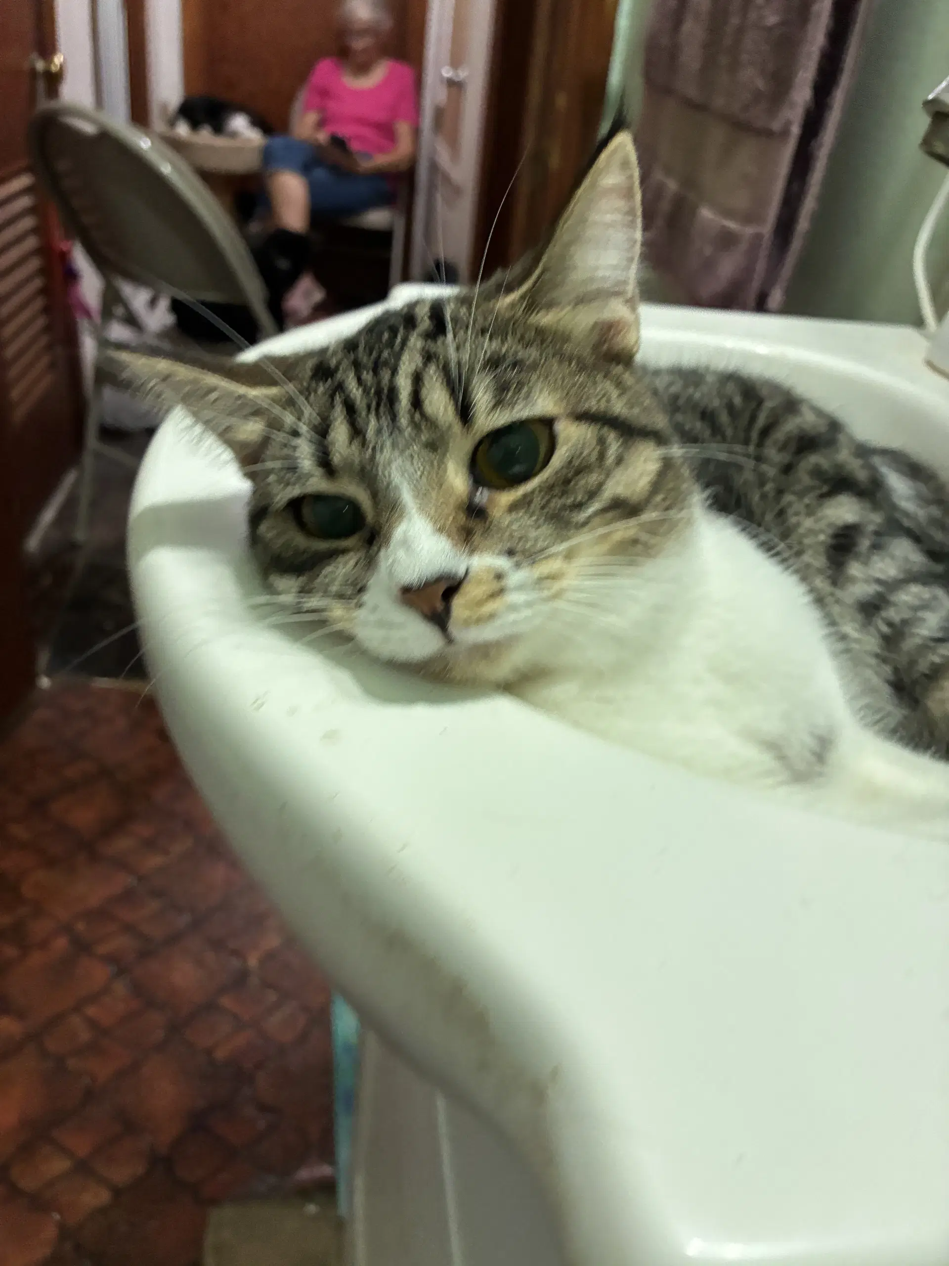 Shiloh image 3