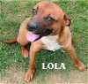 adoptable Dog in portland, OR named Lila