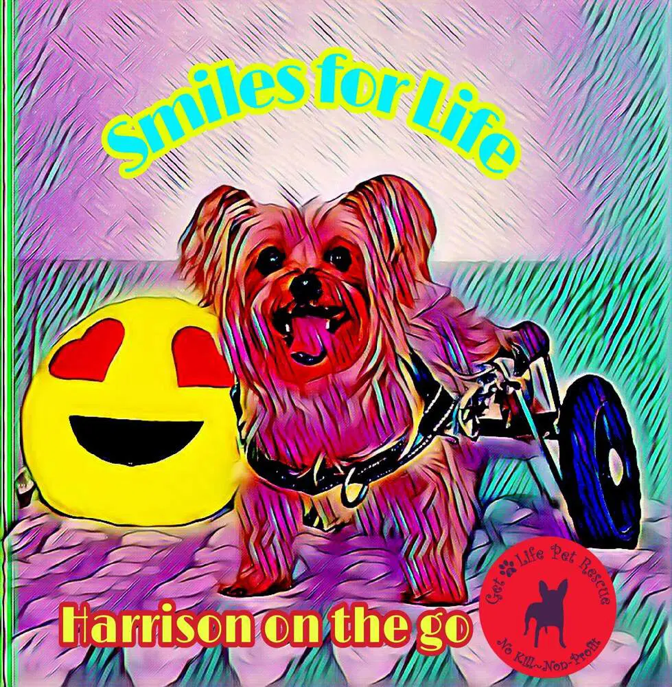 Harrison On Wheels image 2