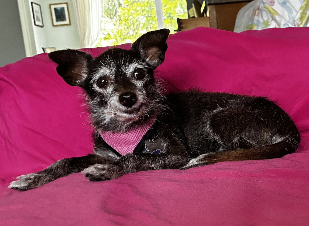 Lula, photo 2