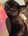 Johann - Photo 6