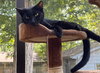 Johann - Photo 4