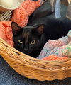 Johann - Photo 5