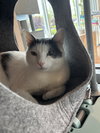Vince - Photo 5