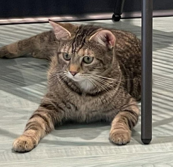 Moe