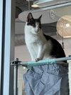 Eliot - Photo 2