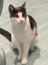 Eliot - Photo 5
