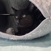 Clint - Photo 1