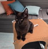 Clint - Photo 2