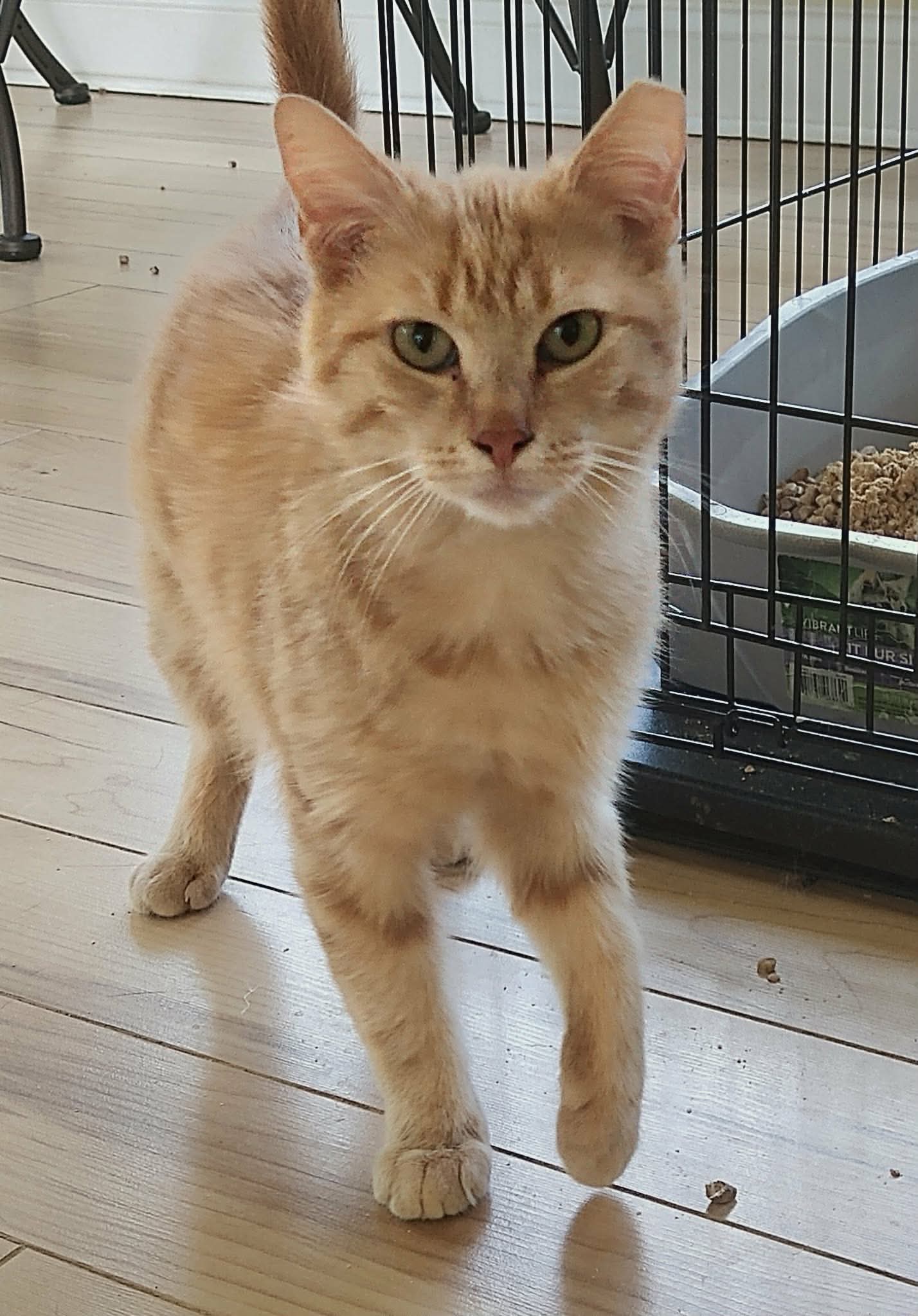 Rusty