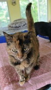Stella - Photo 3