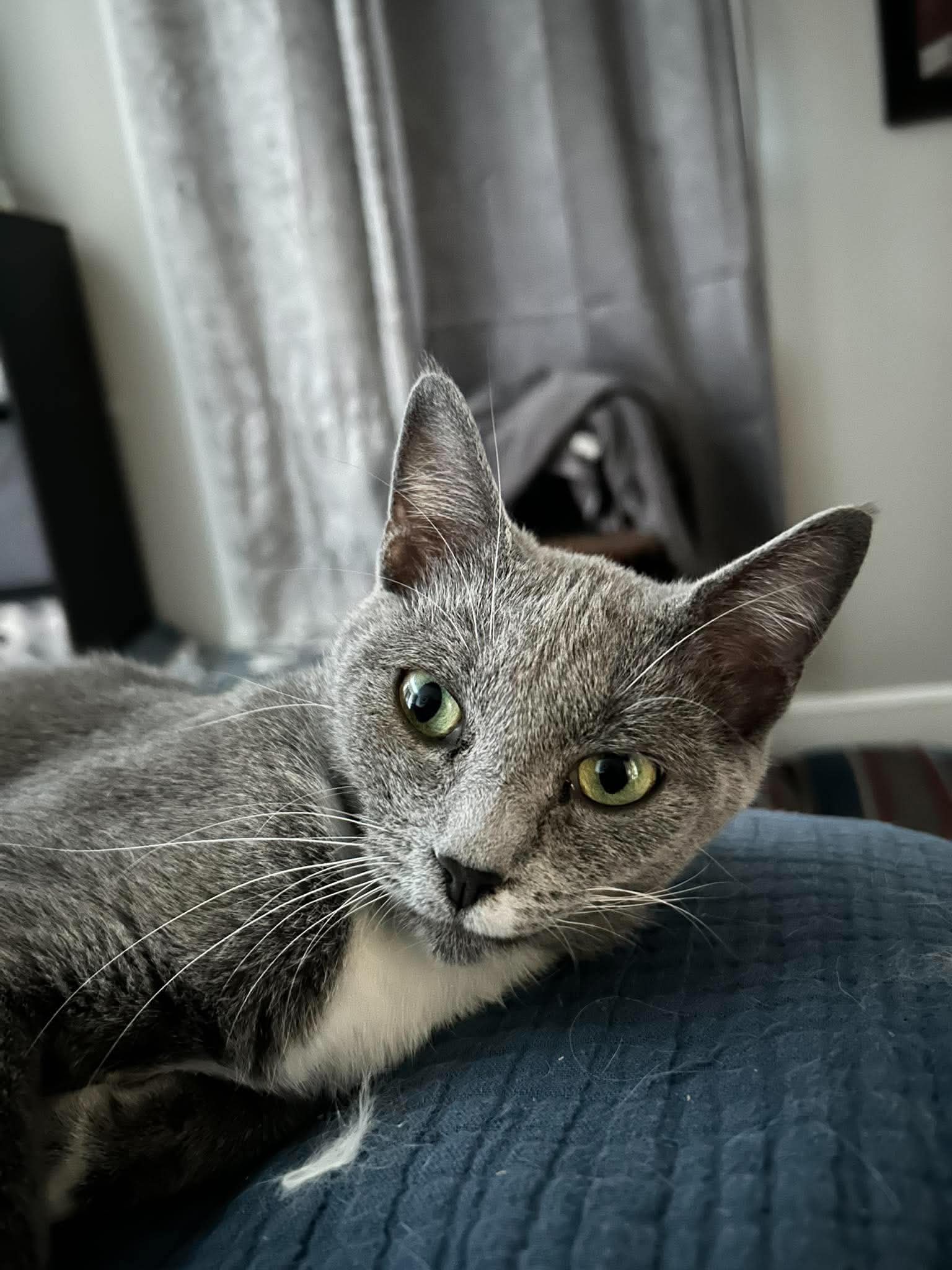 Sweet Pea