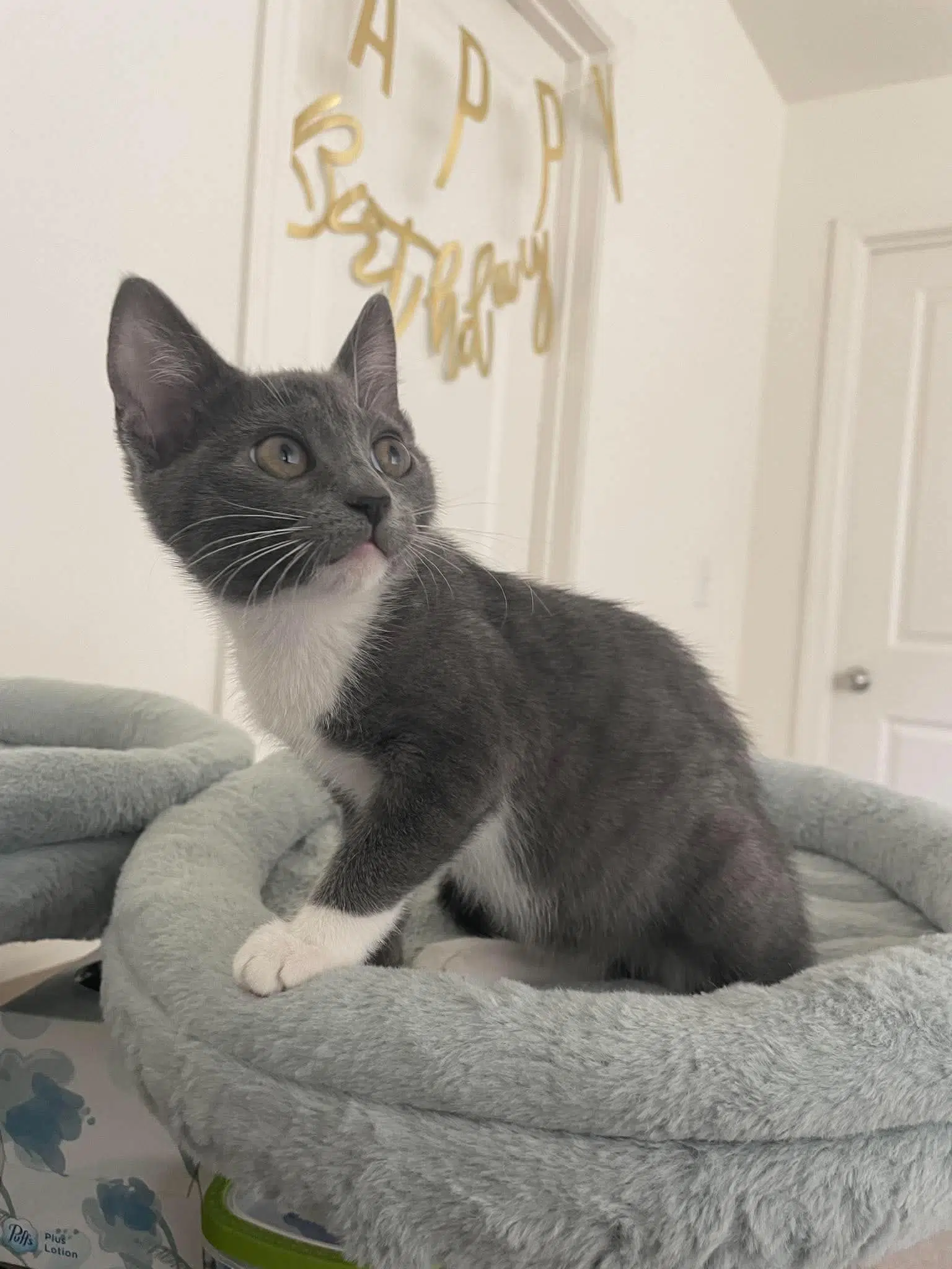 Binky image 3