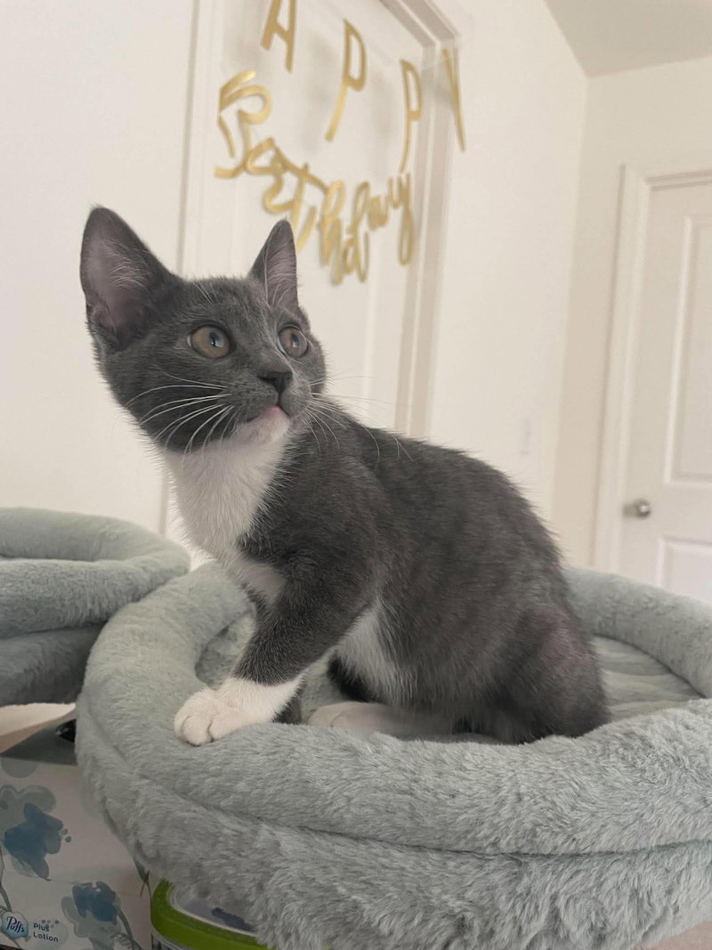 Binky, photo 3