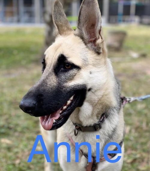 Annie 0195