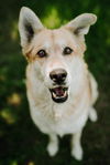 Maggie 0234