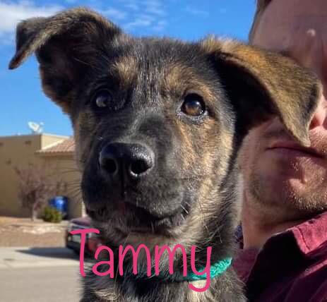 Tammy 0397