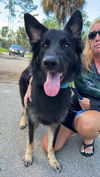 Rocky 0419