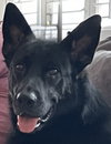 Zeke 0467