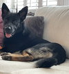 Zeke 0467