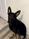 Zeke 0467