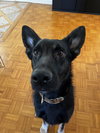 Zeke 0467