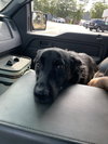 Zeke 0467